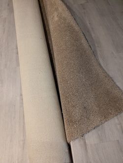 Carpet 127x91in
