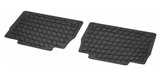 OEM floor mat for GLS450