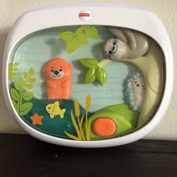 Fisher Price Crib Projection
