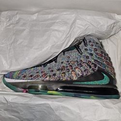 LeBron 17   "I Promise"