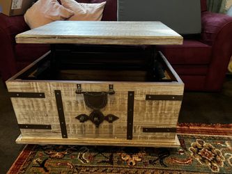 Pottery barn 2024 kaplan trunk