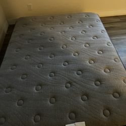 Queen Size Mattress