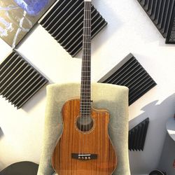 Fender Victor Bailey Signature 4 String Acoustic Bass~Near Mint!