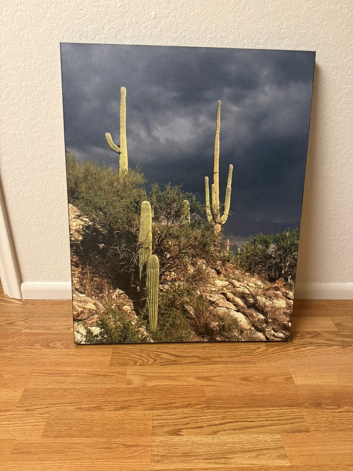 Desert Scene