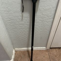 Walking Cane