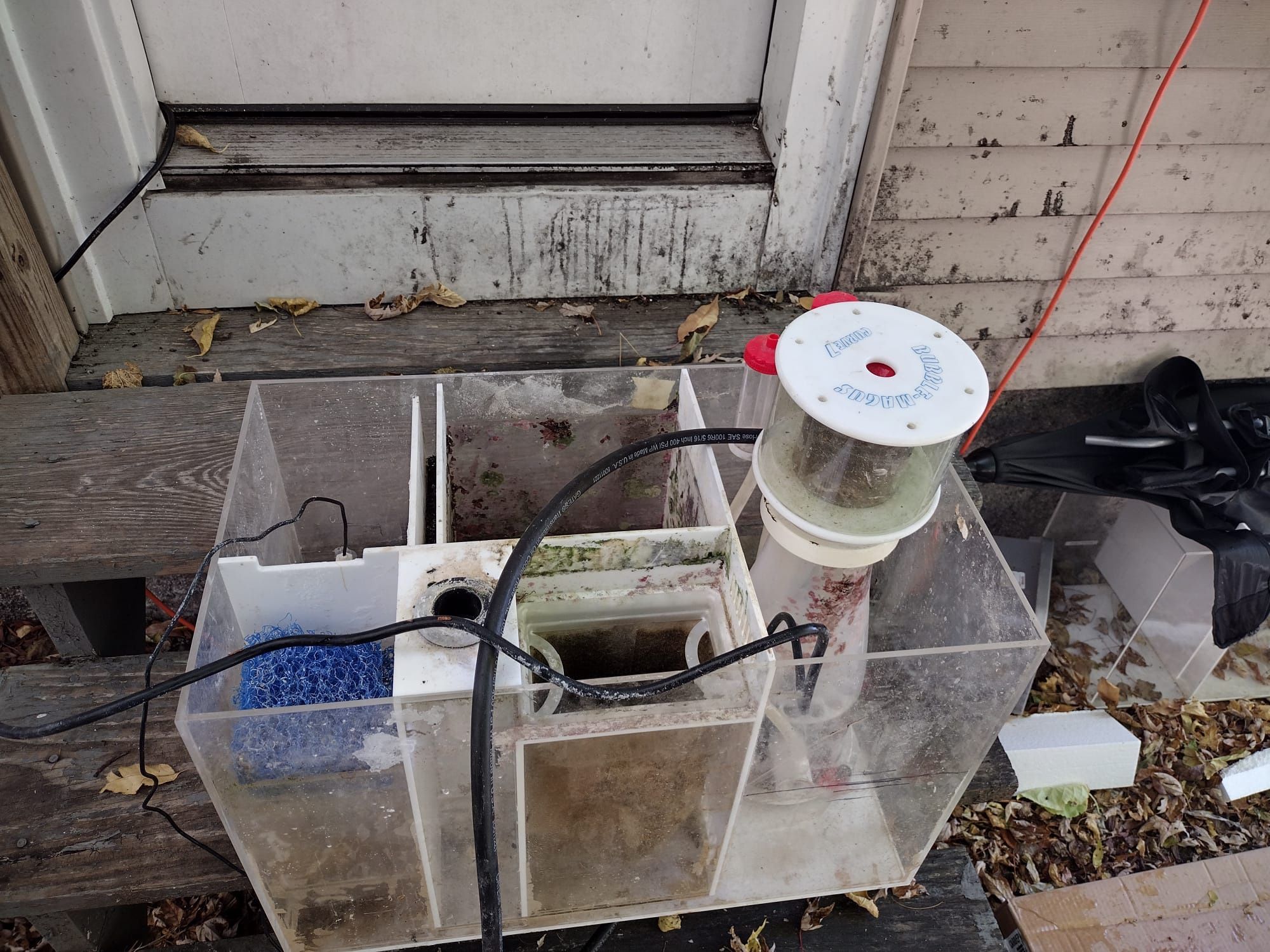 Saltwater Sump 