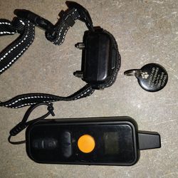 Training Collar