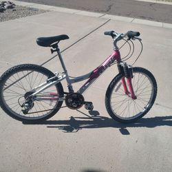 Pink Trek Bike
