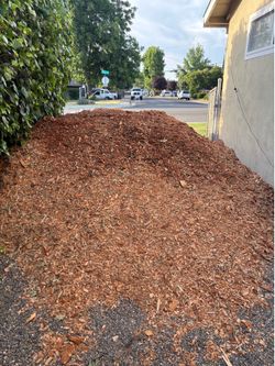 Free wood chips no delivery