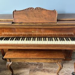 Starck Piano