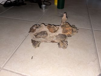 Dragon Stone