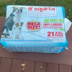 Dog Pads