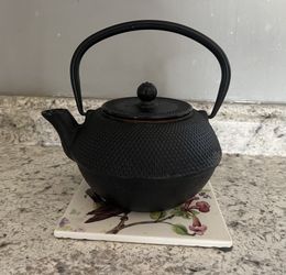 Cast Iron Teapot