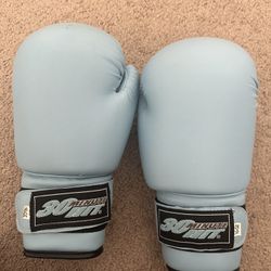 Blue Boxing Gloves