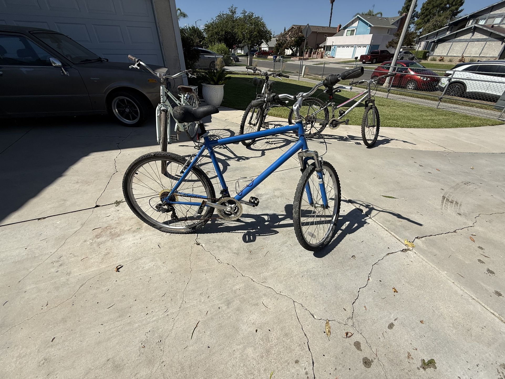 Nishiki Bike