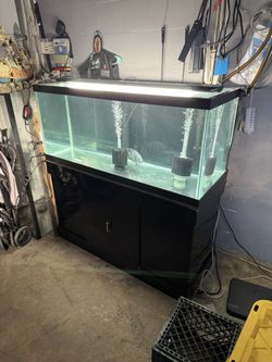 75 Gallon Aquarium 