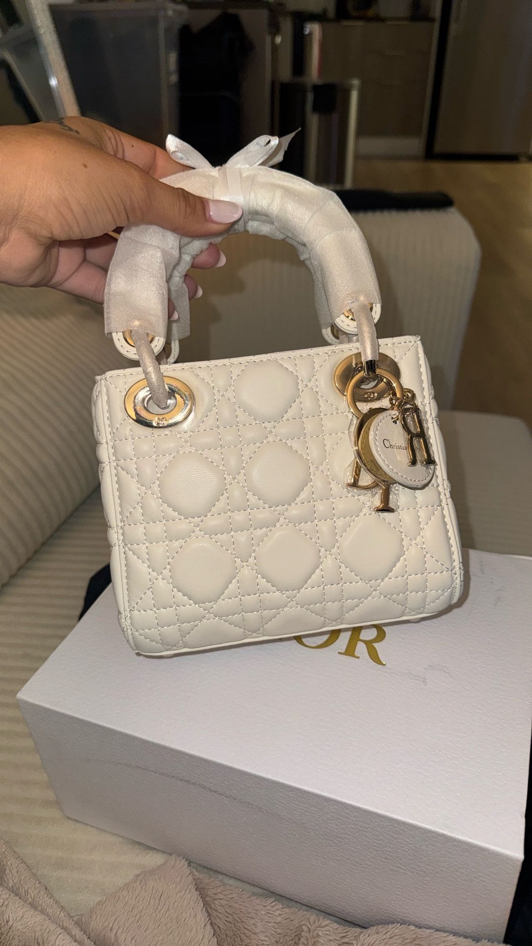 Lady Dior Handbag