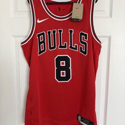 Zach LaVine Bulls Swingman Jersey Icon Edition