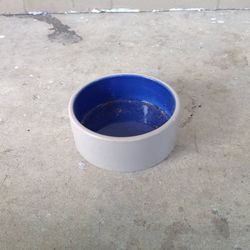 Pet Bowl 