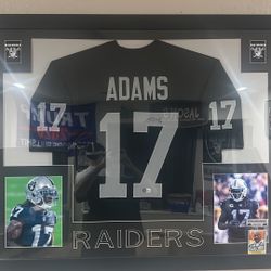 Devante Adams Autographed Framed Jersey Beckett Authentication 