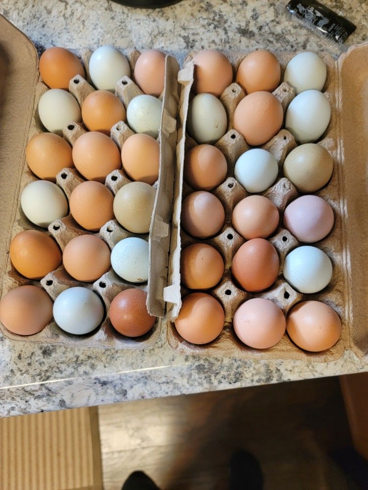 Fresh Eggs With No Recalls