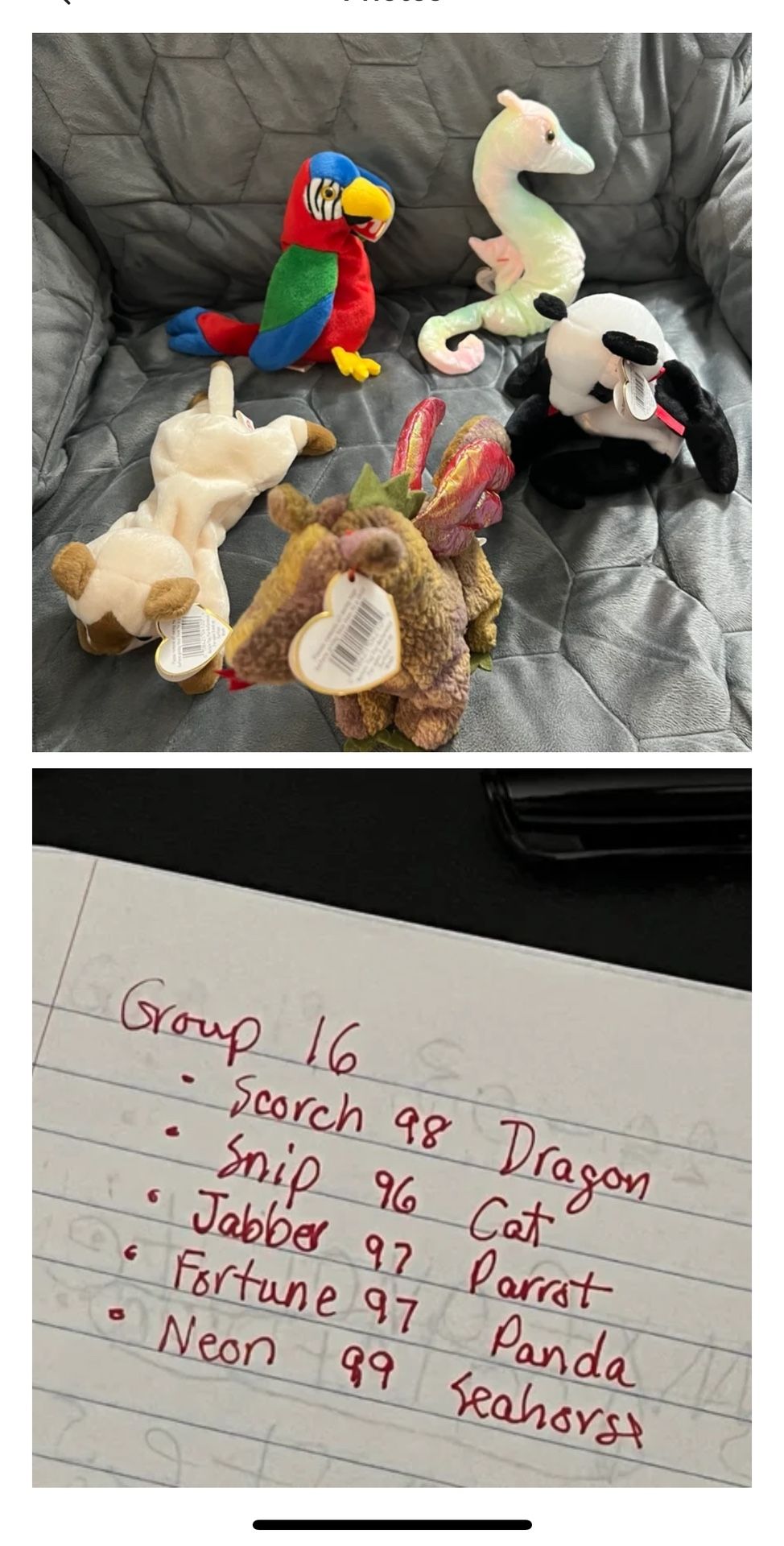 Beanie Baby Lot #16