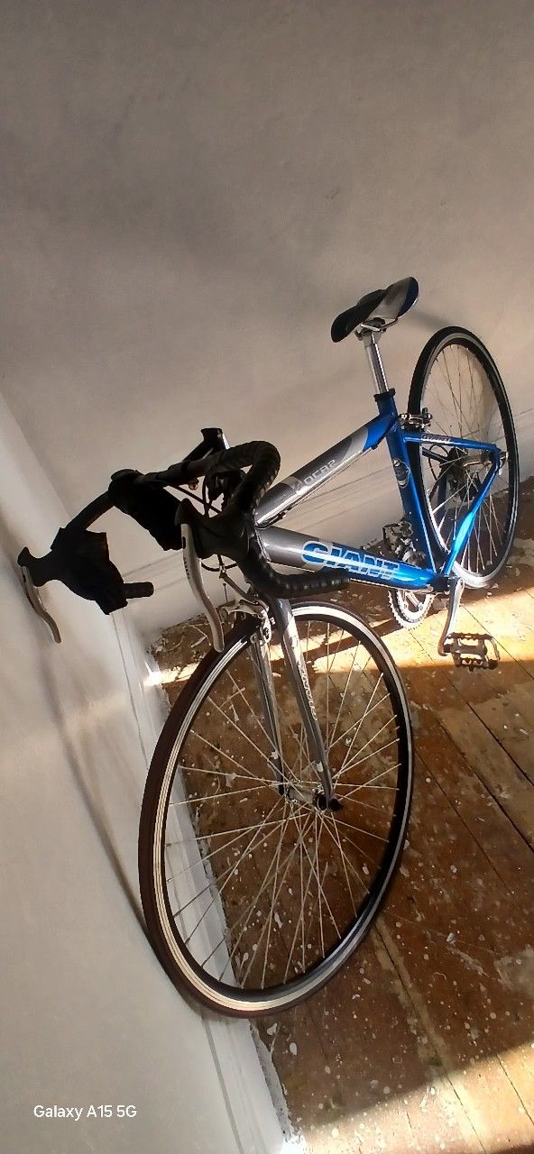 Trek 21 Gear Road Bike