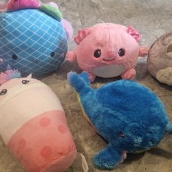 Squishmallow & Plush Toys