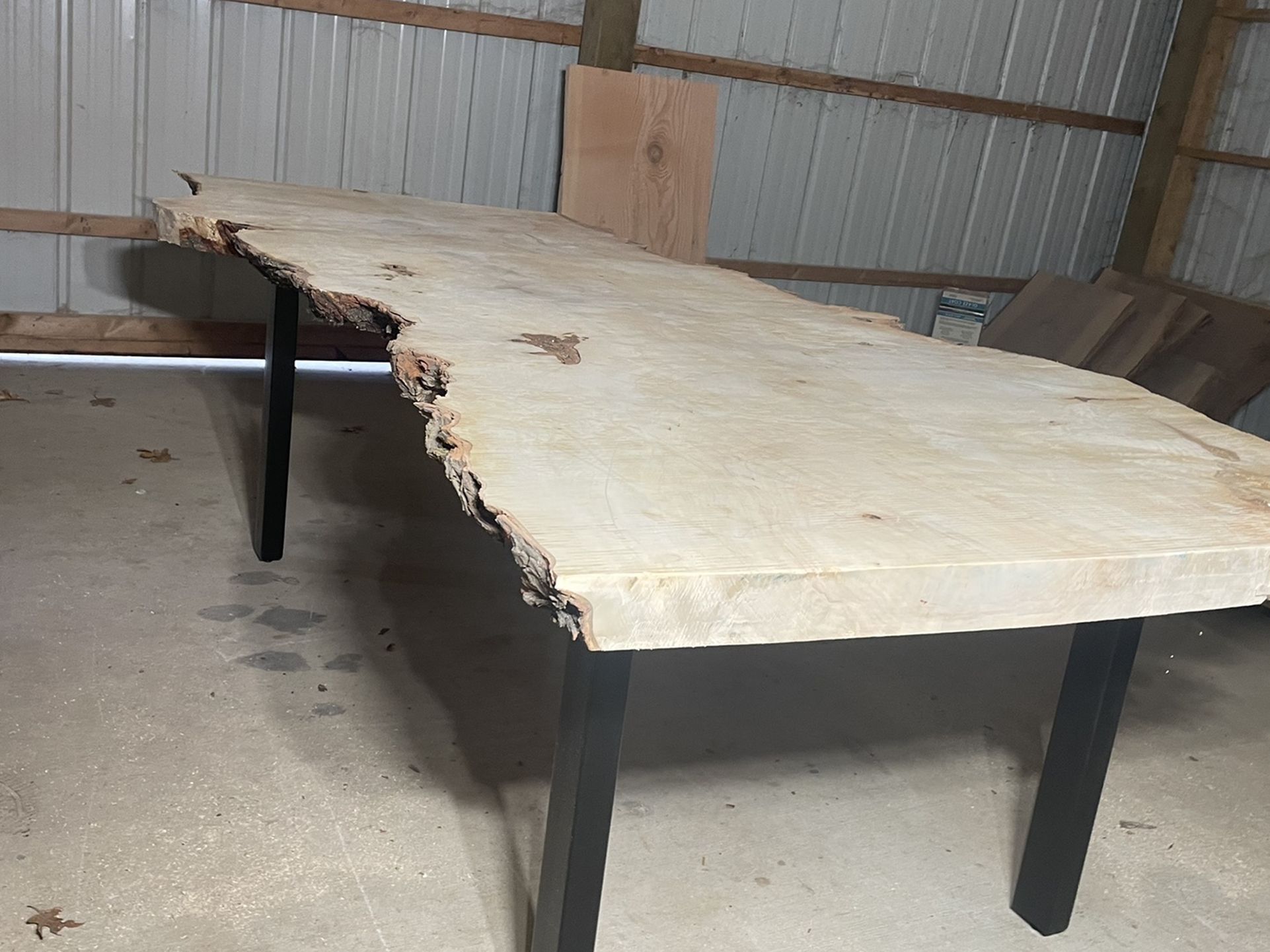 Huge Burly Live Edge Maple Dining Table Roughed In