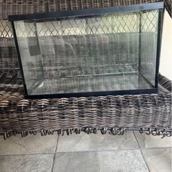 10 Gallon Fish Tank 