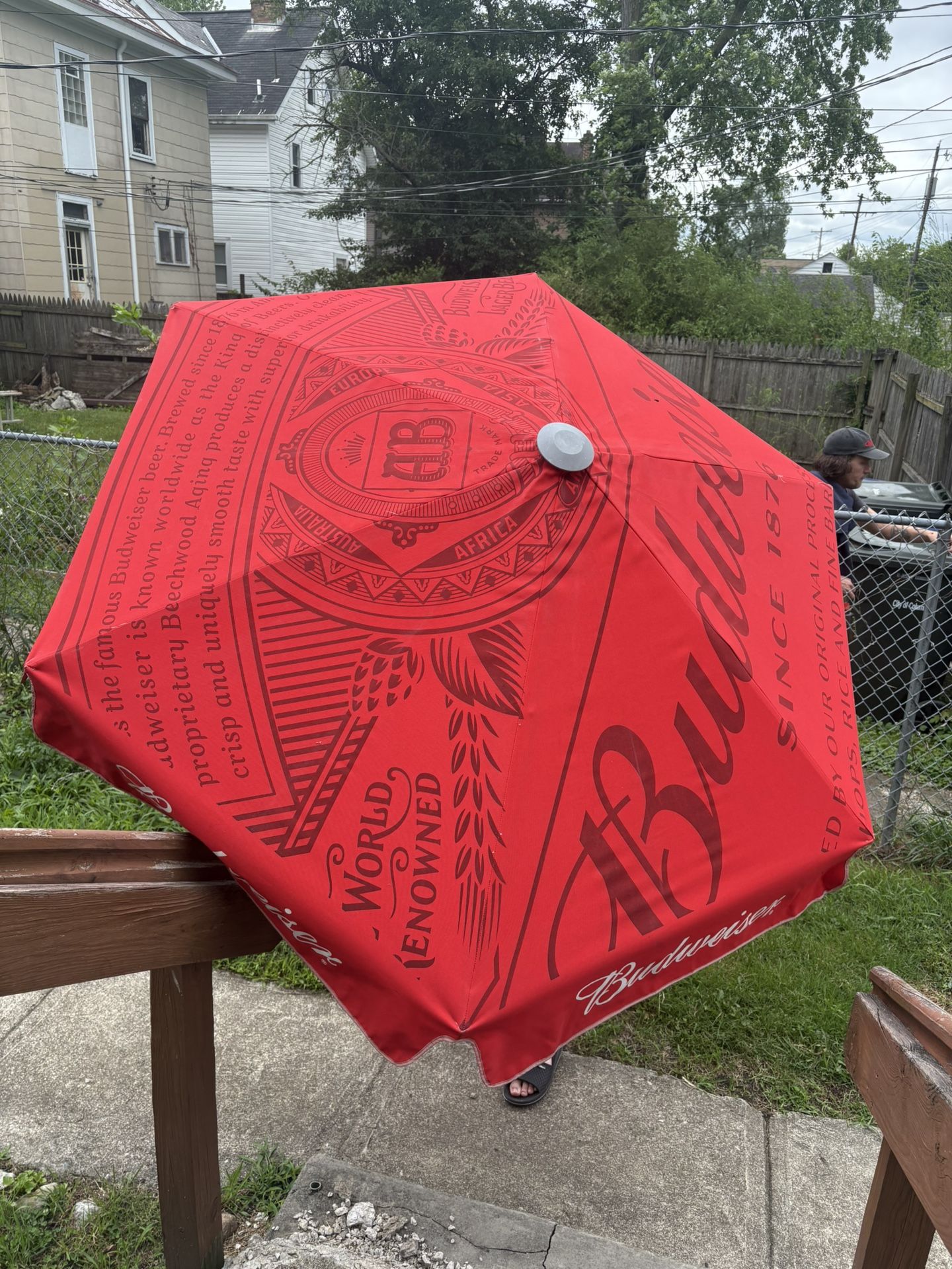 5 Budweiser Patio Umbrellas!