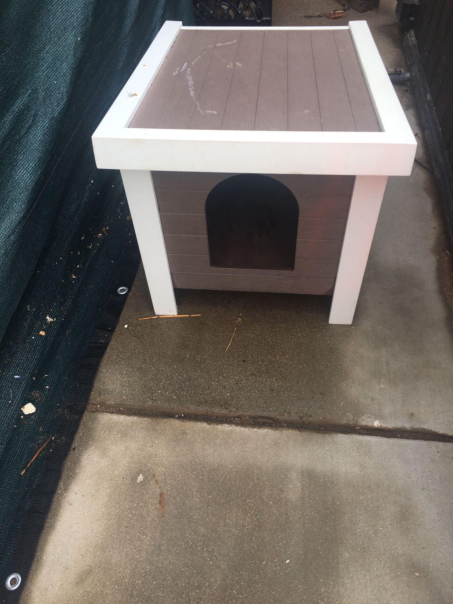 Cat House