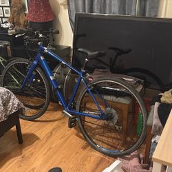 Diamond Back Insight 2