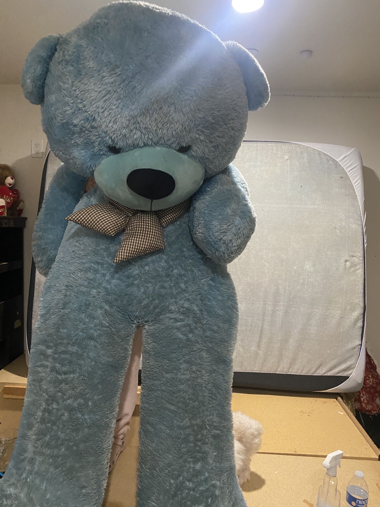 Big Stuffed Teddy Bear