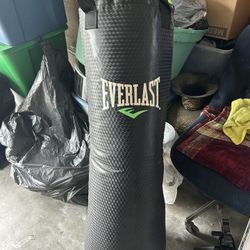 Everlast Punching Bag 