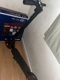 Adult Scooter