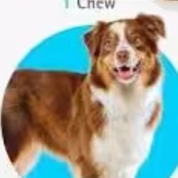 Pet Items