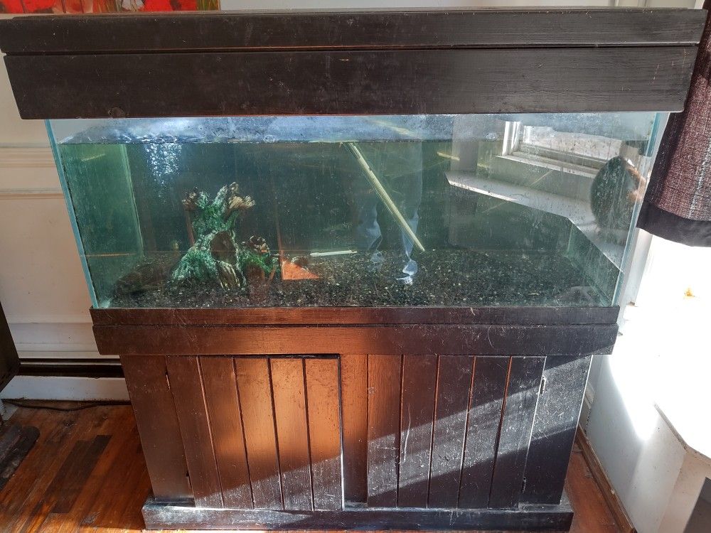 75 gallon fish tank aquarium complete set up