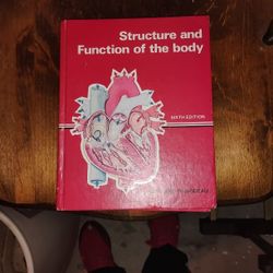 Structure & Function of the Body