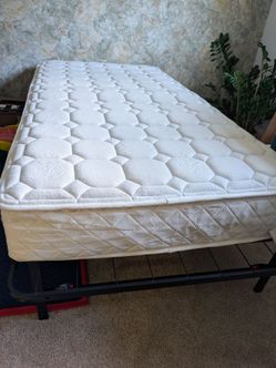 Twin Sized Guest Bed / Cot