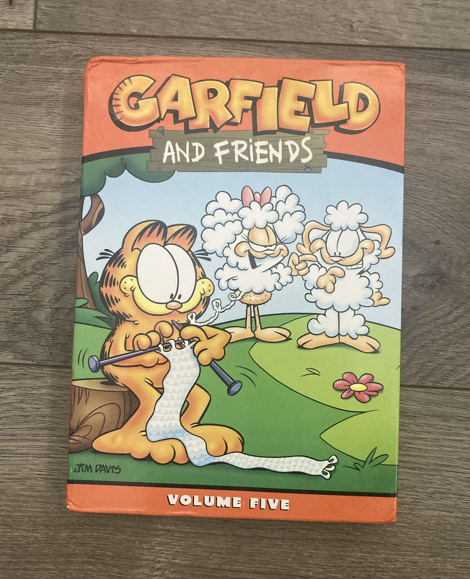 Garfield and Friends Volume Five 3 Disc DVD Set GOOD Complete Set Y2K Cartoon