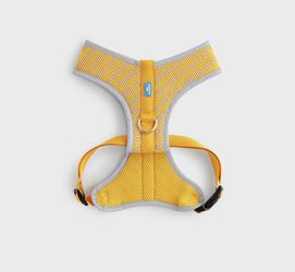 Kith dog Harness