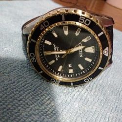 Citizens Dive Pro Master Bn0193-17e