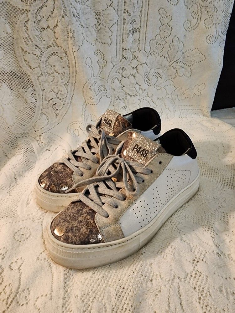 P448 Beautiful Cutaway And Colors