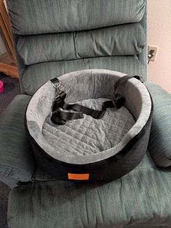 Pet Car Seat Booster with Safety Harness