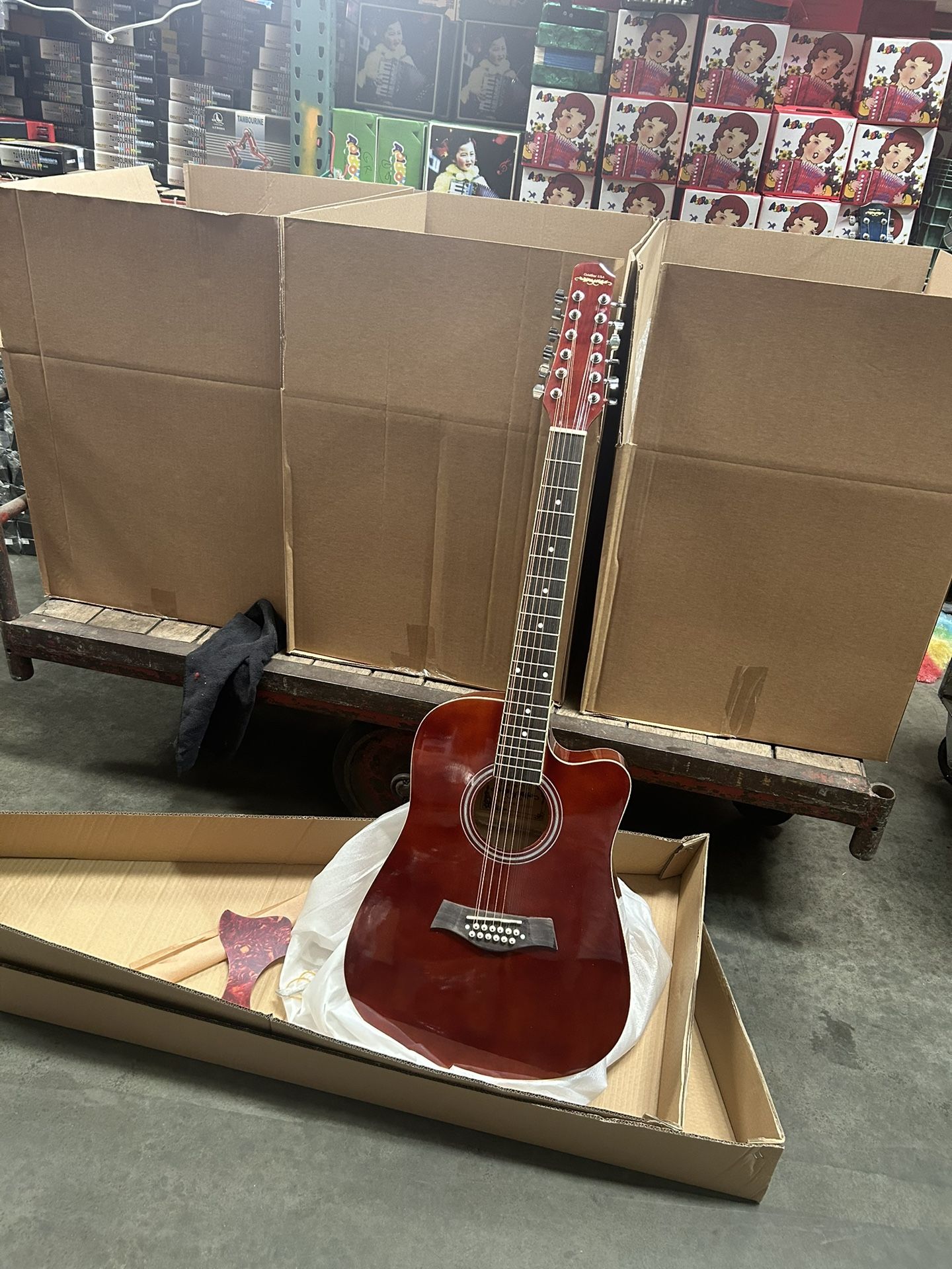 Electric Acoustic Guitar ๐ธ. 12 Strings