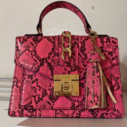 Aldo Bag 