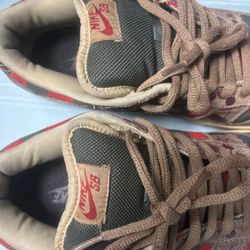 Nike Sb Freddy Kruger 