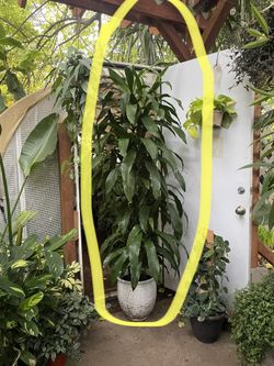 See description~6.5ft  Dracena “Hawaiian Hilo” ceramic pot not included, low light, low maintenance