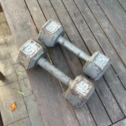 15 Pound (lb) Dumbbell Weights